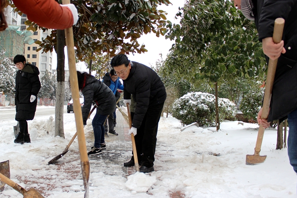 撸起袖子齐劳动——学院开展志愿扫雪活动