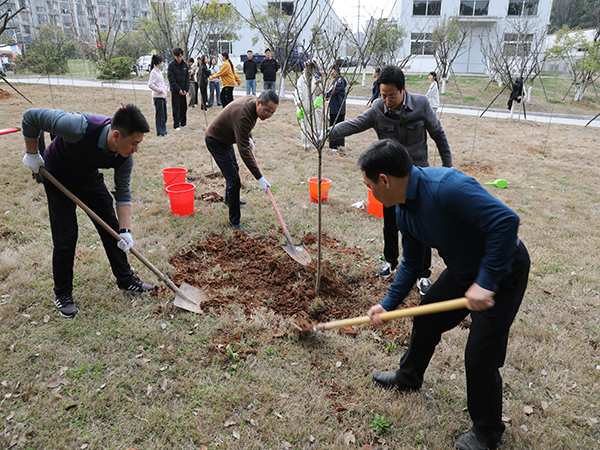 植绿护绿践初心 思政育人显担当——我院开展植树节“行走的思政课”主题活动